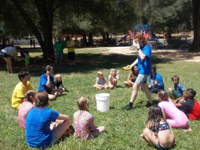 Photo_7